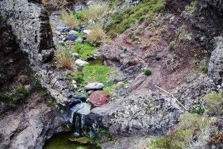 Casas Galloway Anaga Misteriosa Y Magica Эль-Байладеро Экстерьер фото